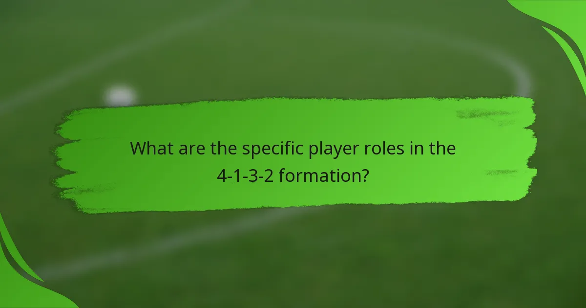 What are the specific player roles in the 4-1-3-2 formation?